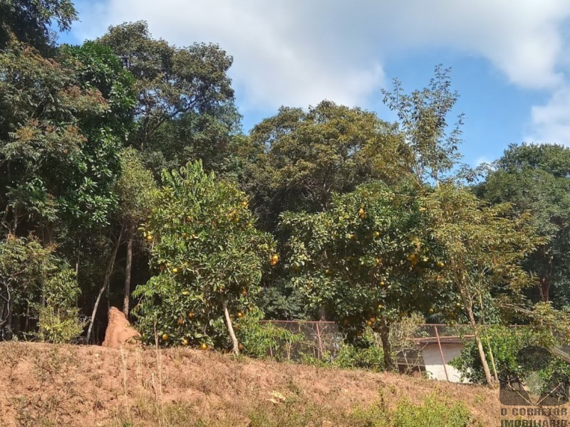 Fazenda, 2 hectares - Foto 27
