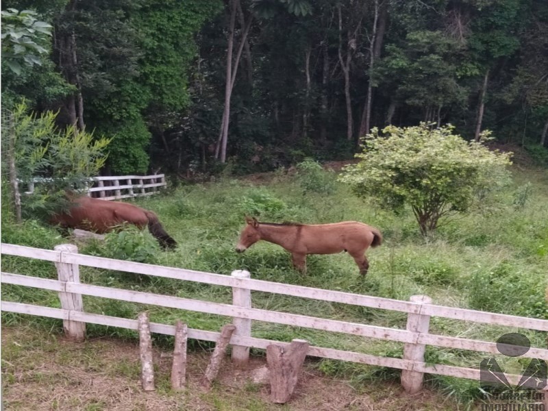 Fazenda, 2 hectares - Foto 37