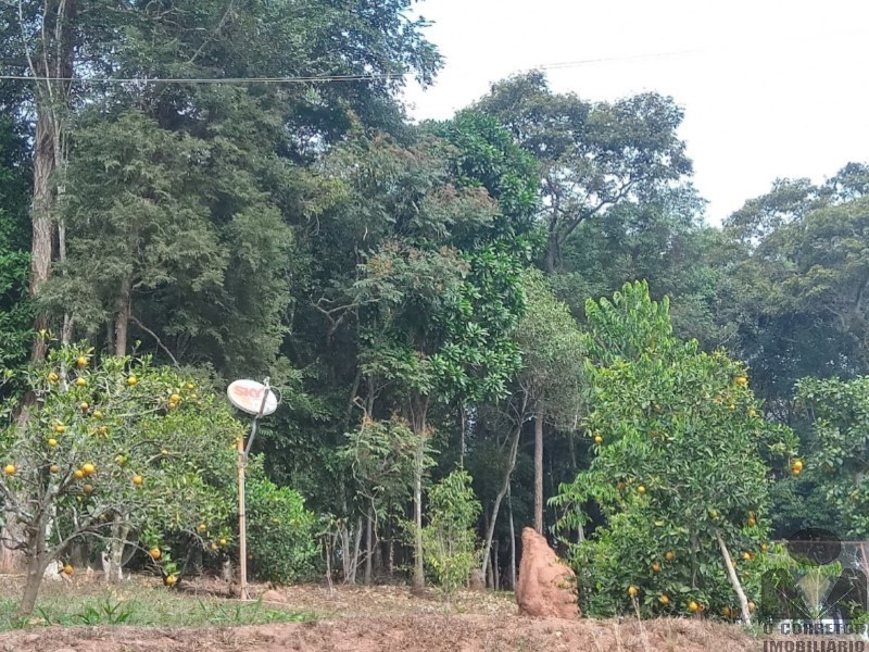 Fazenda, 2 hectares - Foto 24