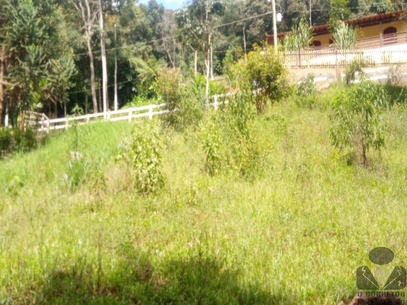 Fazenda, 2 hectares - Foto 39