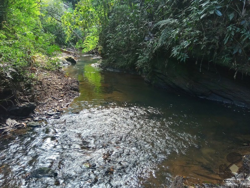 Fazenda, 2 hectares - Foto 46