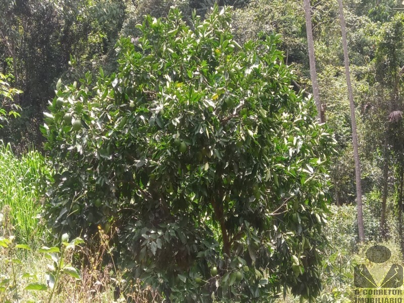 Fazenda, 2 hectares - Foto 26