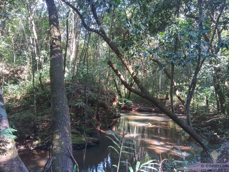 Fazenda, 2 hectares - Foto 47