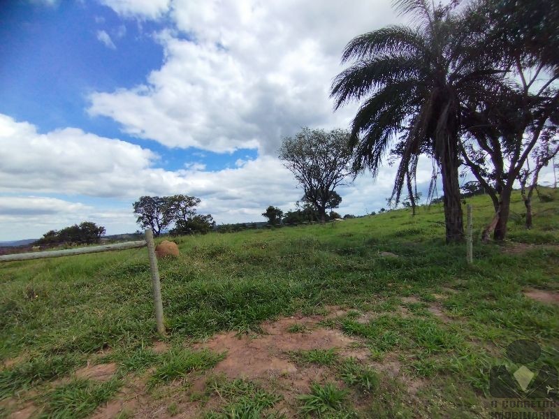 Chácara, 2 hectares - Foto 22