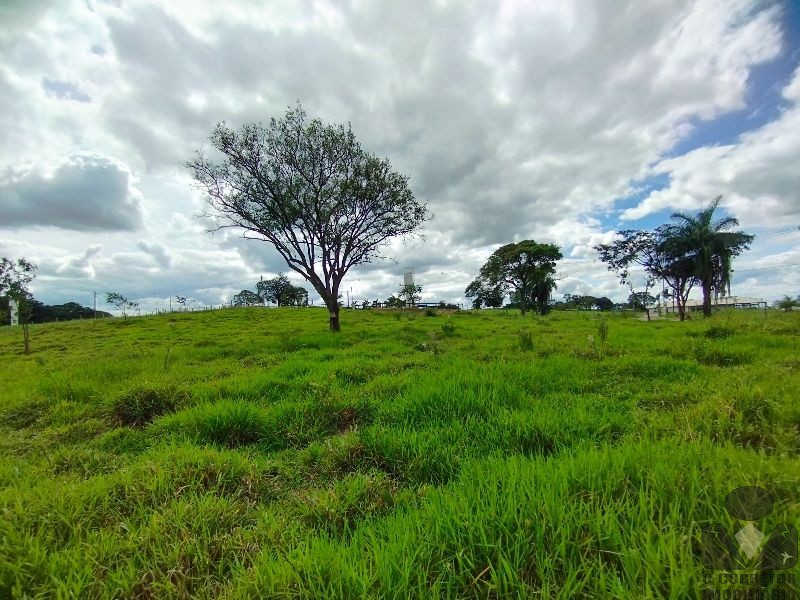Chácara, 2 hectares - Foto 32
