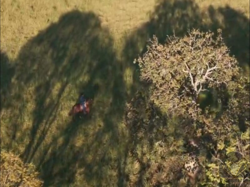 Fazenda, 2 hectares - Foto 20