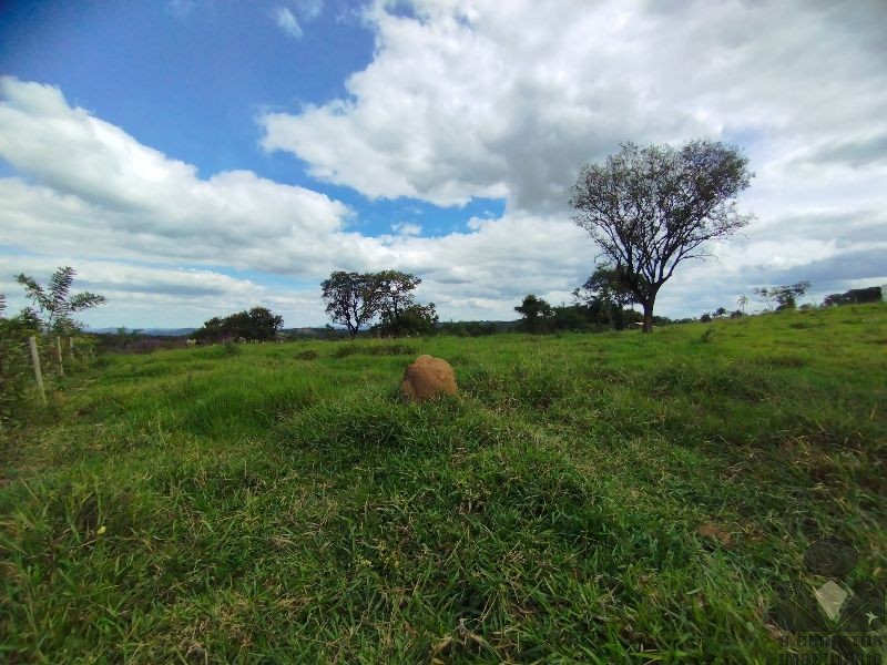 Chácara, 2 hectares - Foto 23