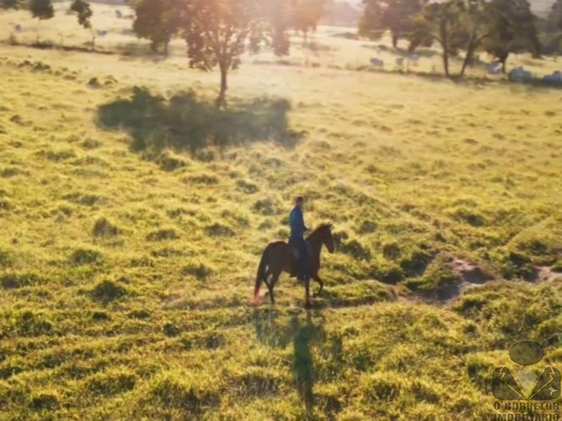 Fazenda, 2 hectares - Foto 5