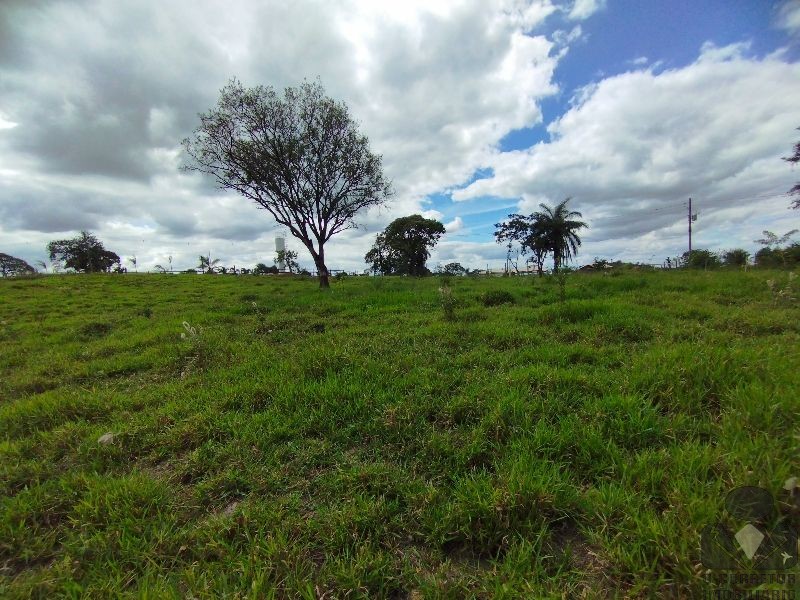 Chácara, 2 hectares - Foto 28