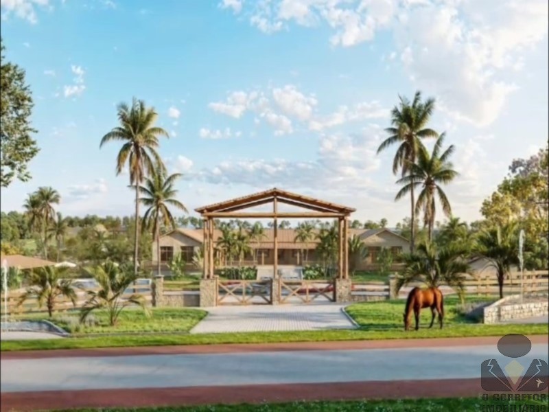 Fazenda, 2 hectares - Foto 7