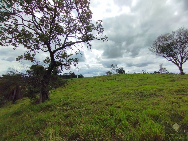 Chácara, 2 hectares - Foto 31