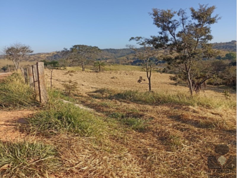 Fazenda, 2 hectares - Foto 14