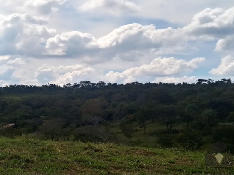 Fazenda, 2 hectares - Foto 5