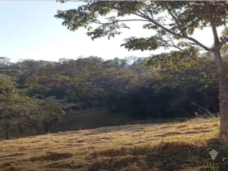 Fazenda, 2 hectares - Foto 9