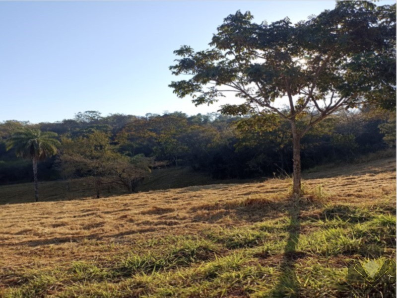 Fazenda, 2 hectares - Foto 8