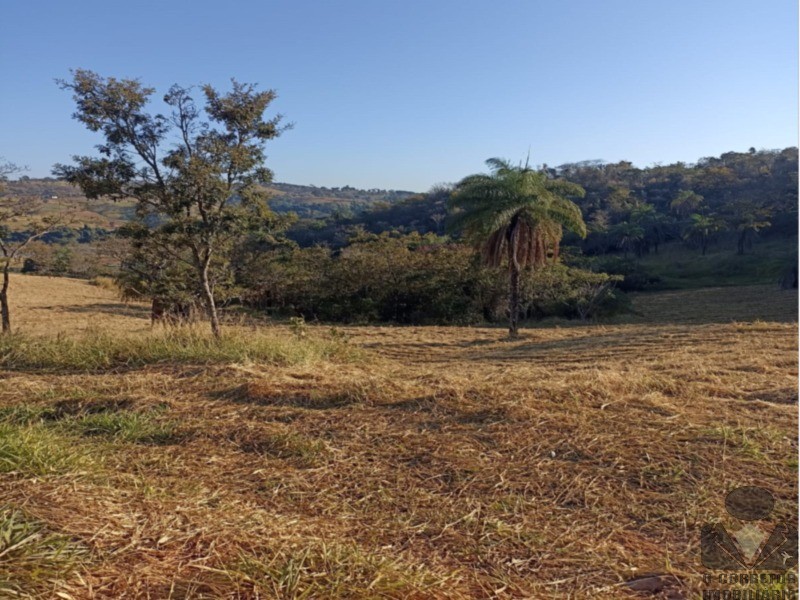 Fazenda, 2 hectares - Foto 3