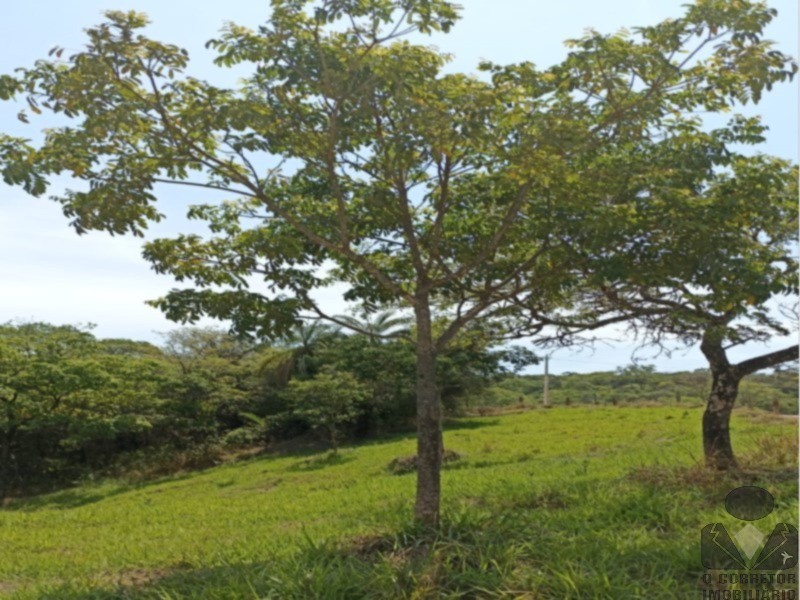 Fazenda, 2 hectares - Foto 6