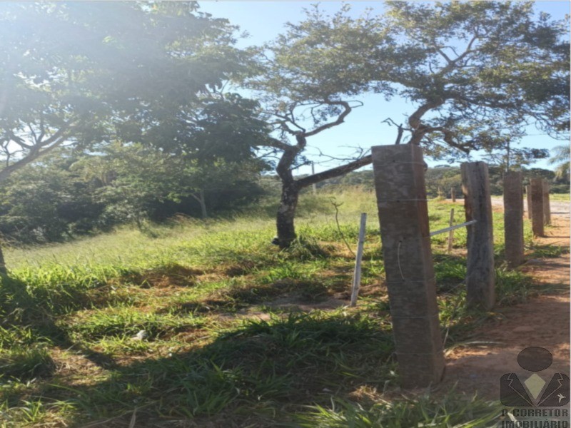Fazenda, 2 hectares - Foto 16