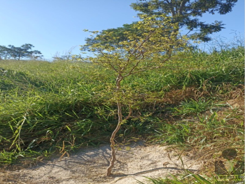 Fazenda, 2 hectares - Foto 12