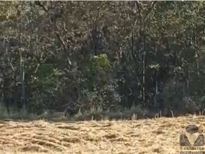 Fazenda, 2 hectares - Foto 10