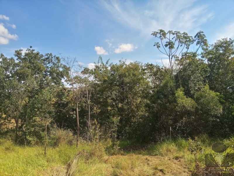 Fazenda, 2 hectares - Foto 4