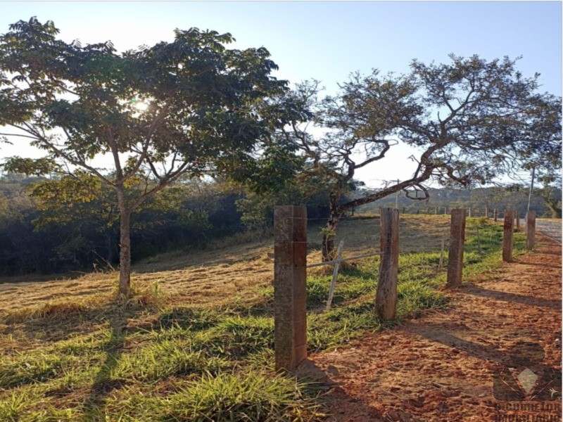 Fazenda, 2 hectares - Foto 15