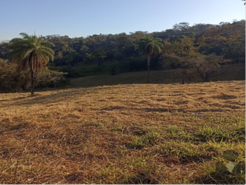 Fazenda, 2 hectares - Foto 2