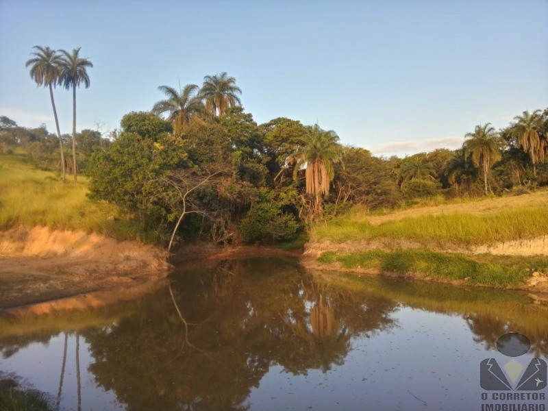 Fazenda, 2 hectares - Foto 31
