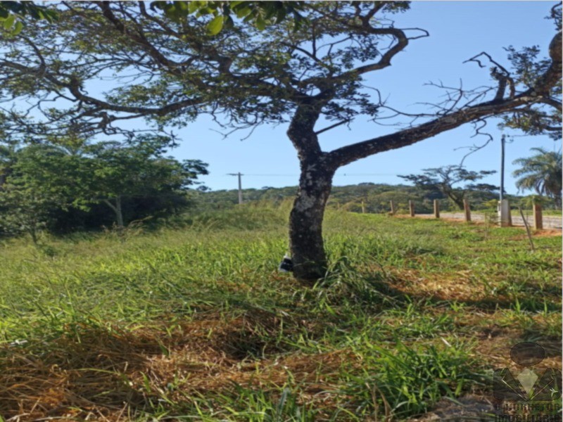 Fazenda, 2 hectares - Foto 7
