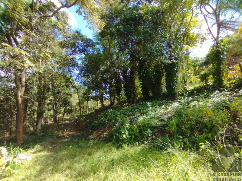 Fazenda, 3200 m² - Foto 39