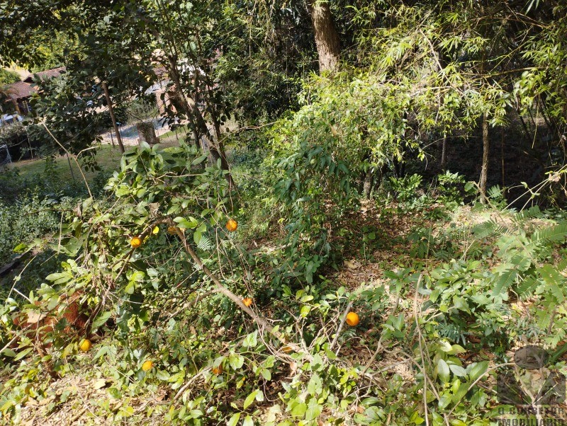Fazenda, 3200 m² - Foto 40
