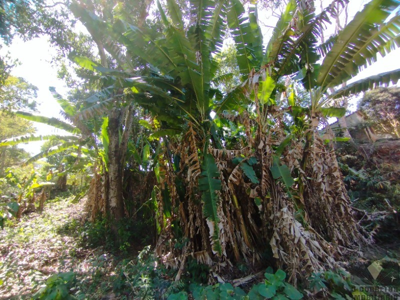 Fazenda, 3200 m² - Foto 41