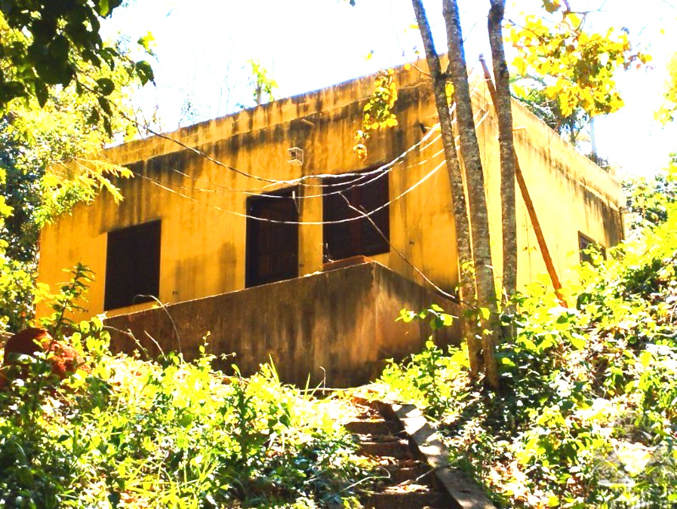 Fazenda, 3200 m² - Foto 27