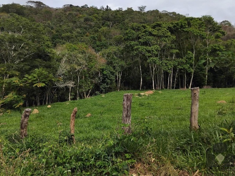 Chácara, 1 quarto, 8000 m² - Foto 10
