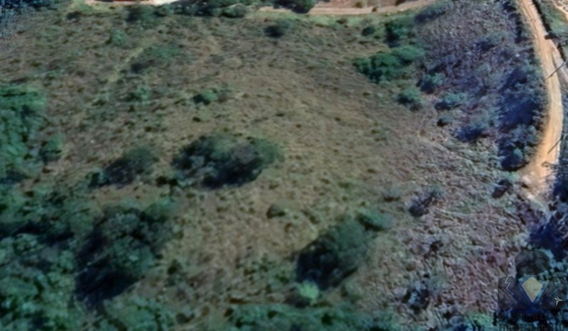 Chácara, 3 hectares - Foto 3