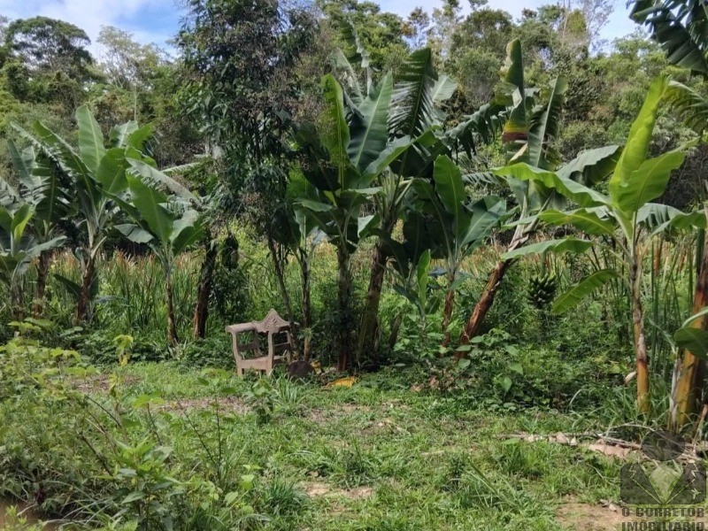 Chácara, 1 quarto, 8000 m² - Foto 14