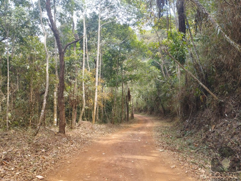 Chácara, 2500 m² - Foto 9