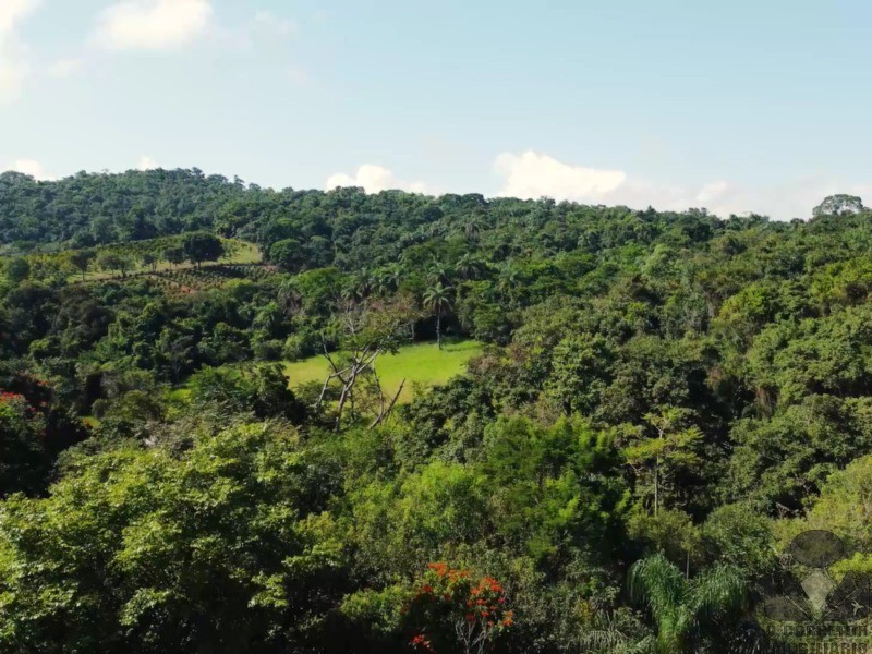 Chácara, 2 hectares - Foto 15