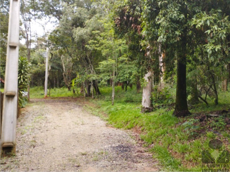 Chácara, 2 hectares - Foto 3