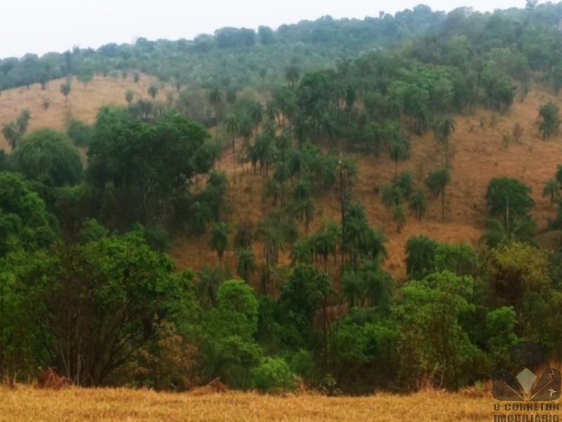 Chácara, 2 hectares - Foto 3