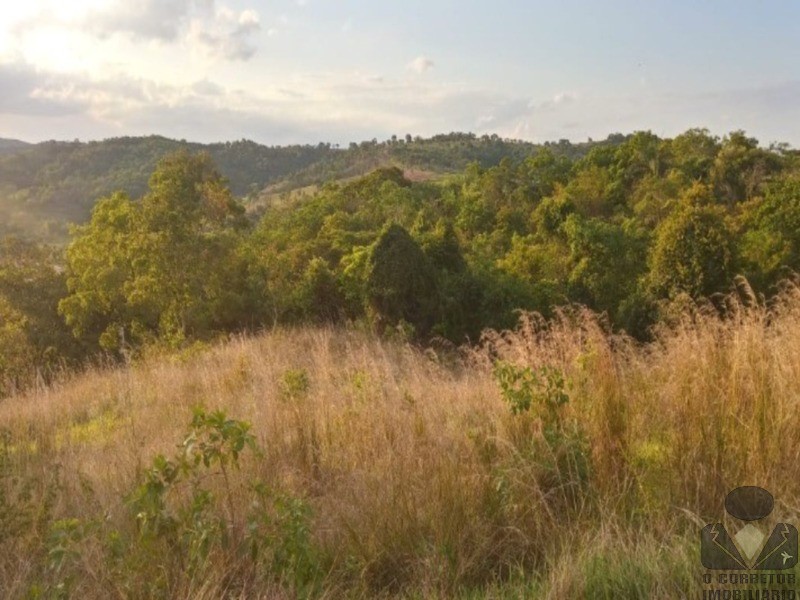 Chácara, 2 hectares - Foto 43