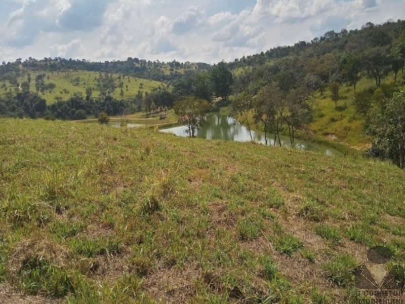 Chácara, 2 hectares - Foto 36