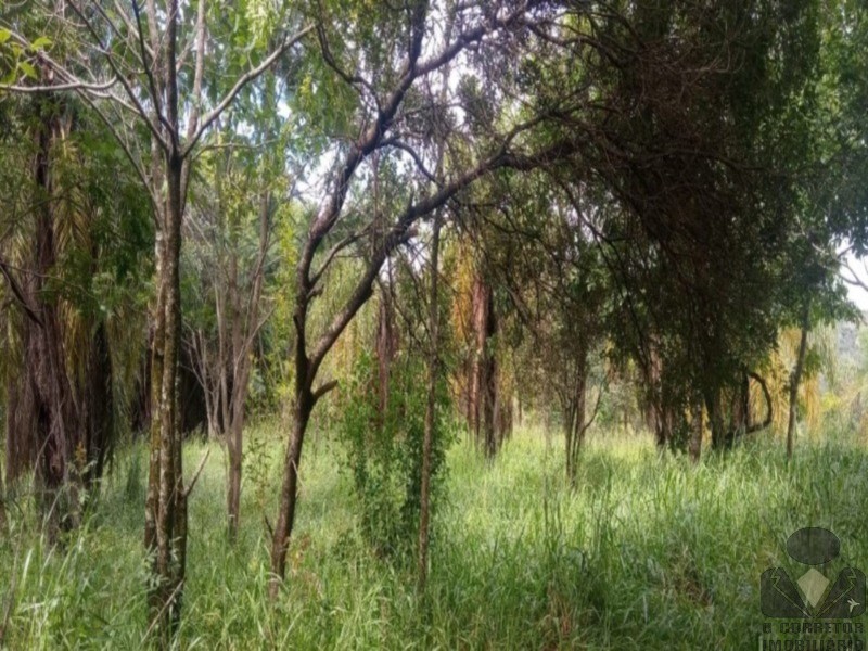 Chácara, 2 hectares - Foto 27