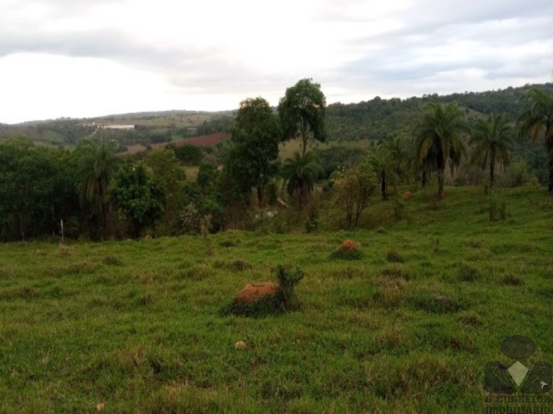 Chácara, 2 hectares - Foto 19