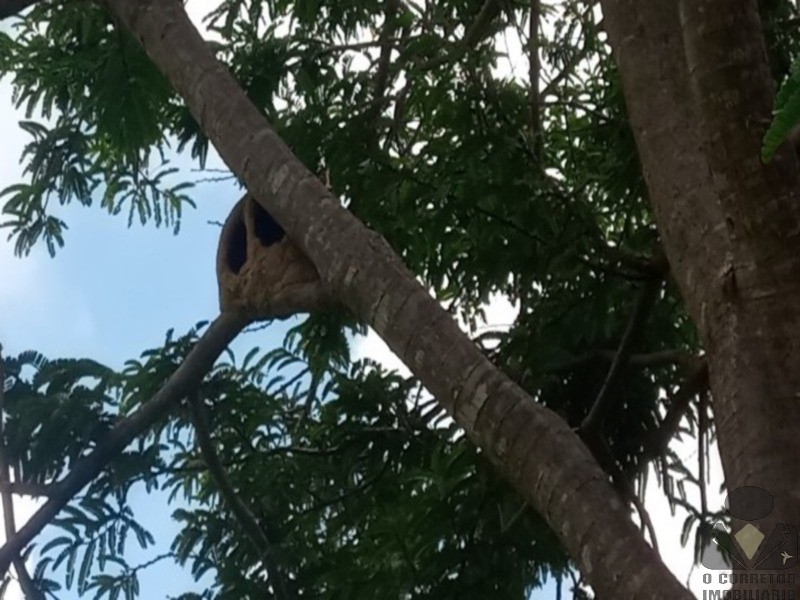 Chácara, 2 hectares - Foto 29