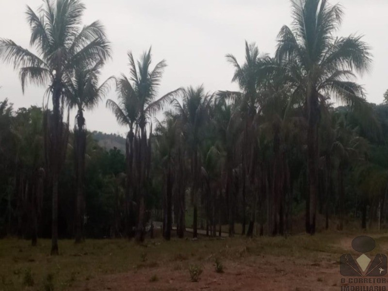 Chácara, 2 hectares - Foto 11