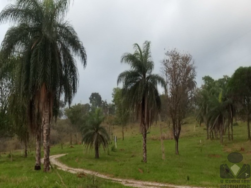 Chácara, 2 hectares - Foto 21