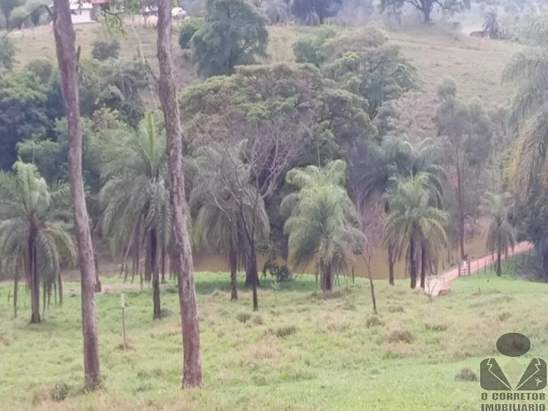 Chácara, 2 hectares - Foto 6