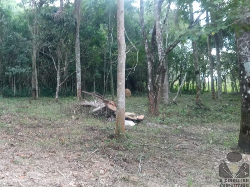 Chácara, 2 hectares - Foto 9