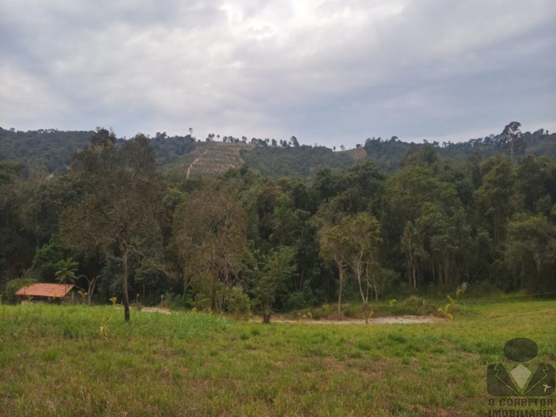 Chácara, 2 hectares - Foto 6